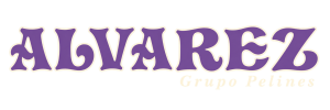 LOGO AUTOCARES ALVAREZ
