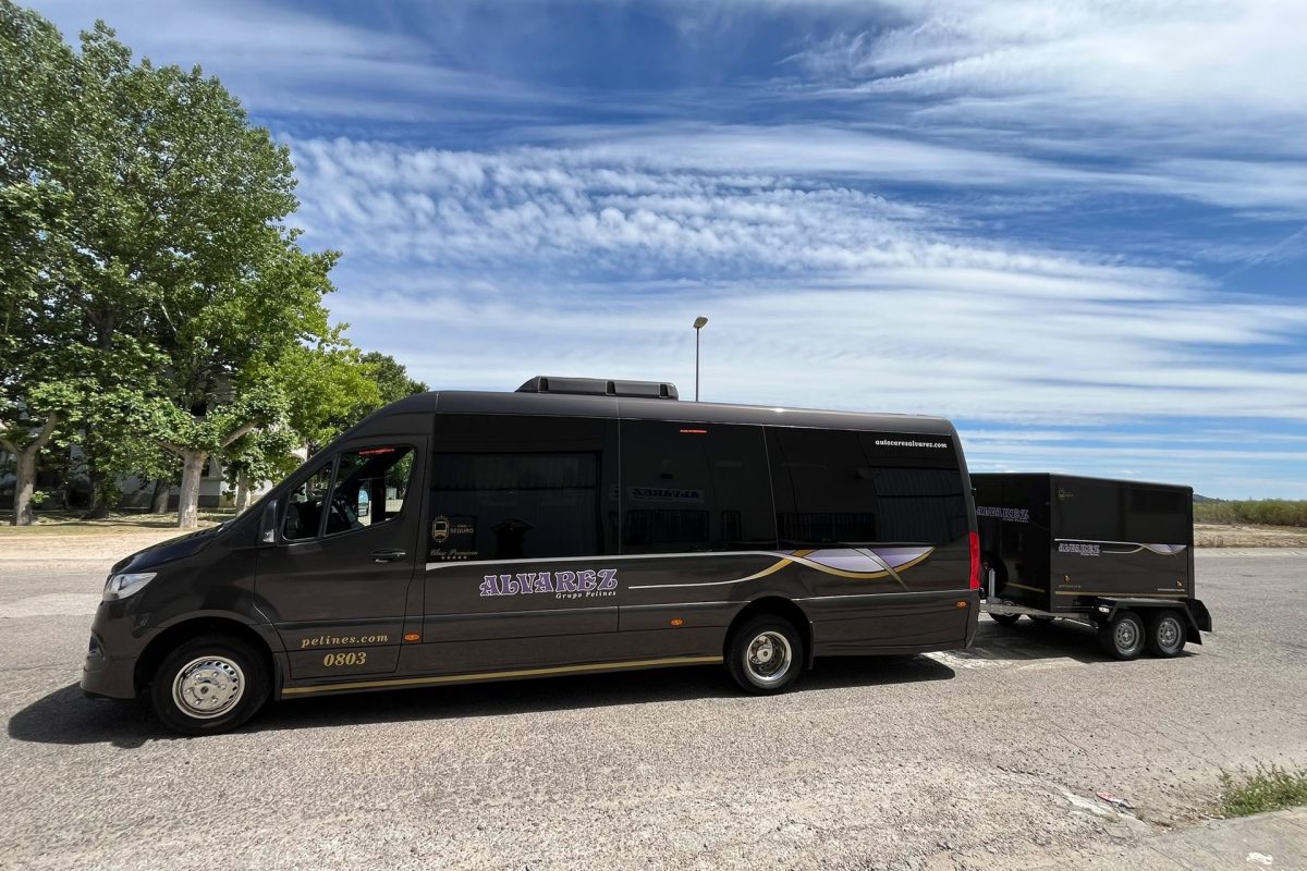 autocares-alvarez-microbus-vip-interior-asientos-01
